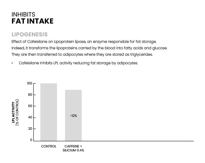 Graph 2